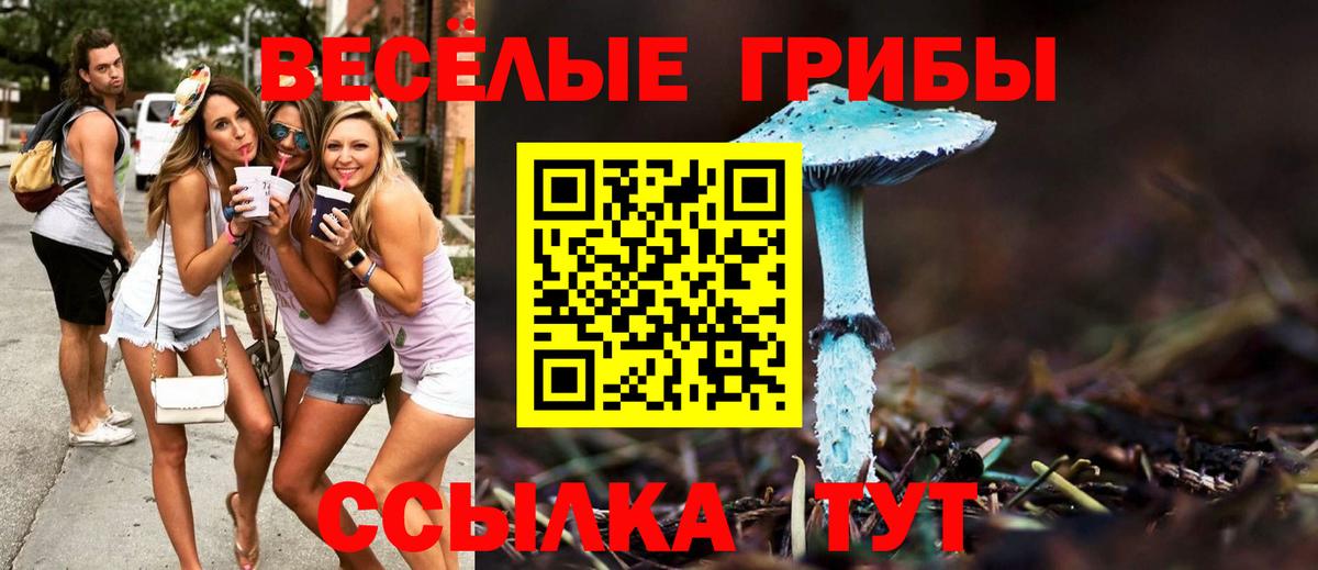 Псилоцибиновые грибы Cubensis  Псилоцибиновые грибы Psilocybine cubensis  Лангепас  Вход с VPN 